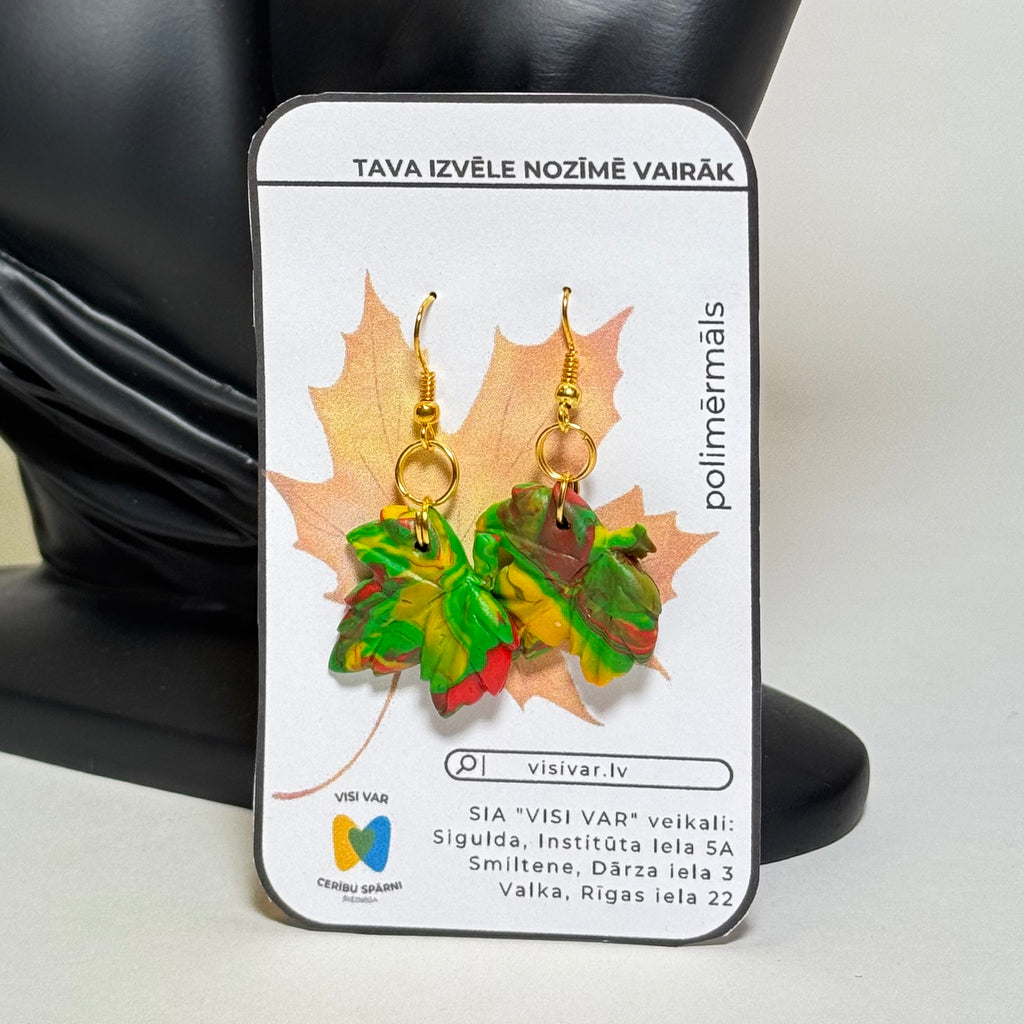 POLIMĒRA AUSKARI NR.2