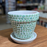 MĀLA PUĶU PODS NR.3