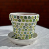 MĀLA PUĶU PODS NR.6