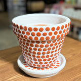 MĀLA PUĶU PODS NR.4