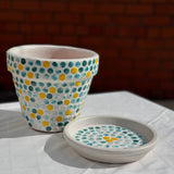 MĀLA PUĶU PODS NR.8