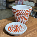 MĀLA PUĶU PODS NR.4