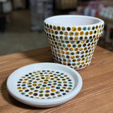 MĀLA PUĶU PODS NR.1