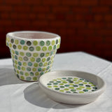 MĀLA PUĶU PODS NR.6